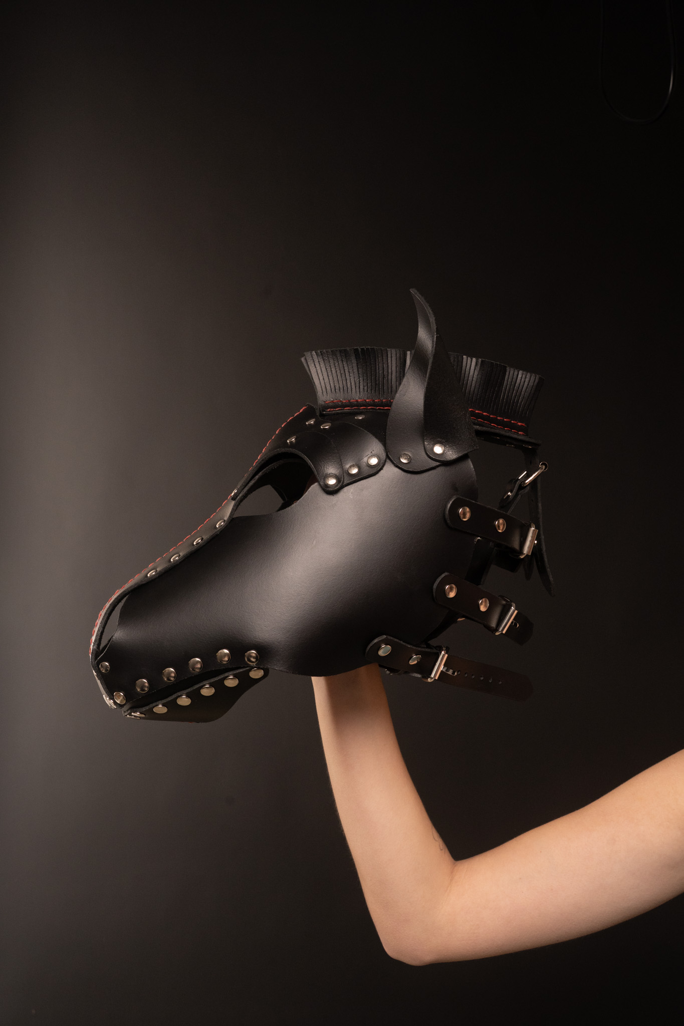 Paardenmasker - Afbeelding 2